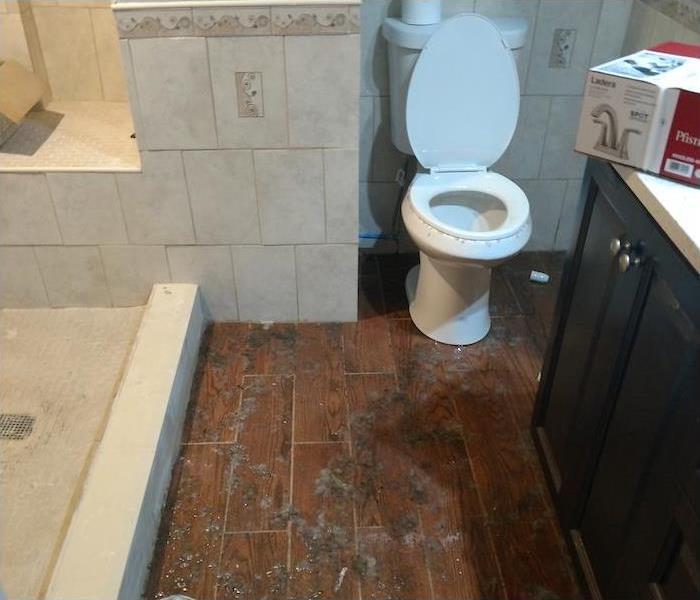 bathroom showing signs of sewage on the floors
