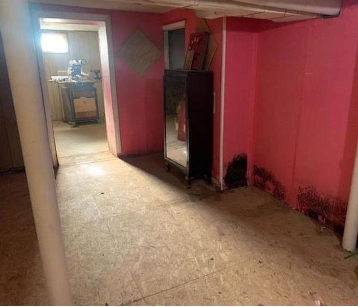 Hallway with visible mold clusters on the flooring and lower wall.