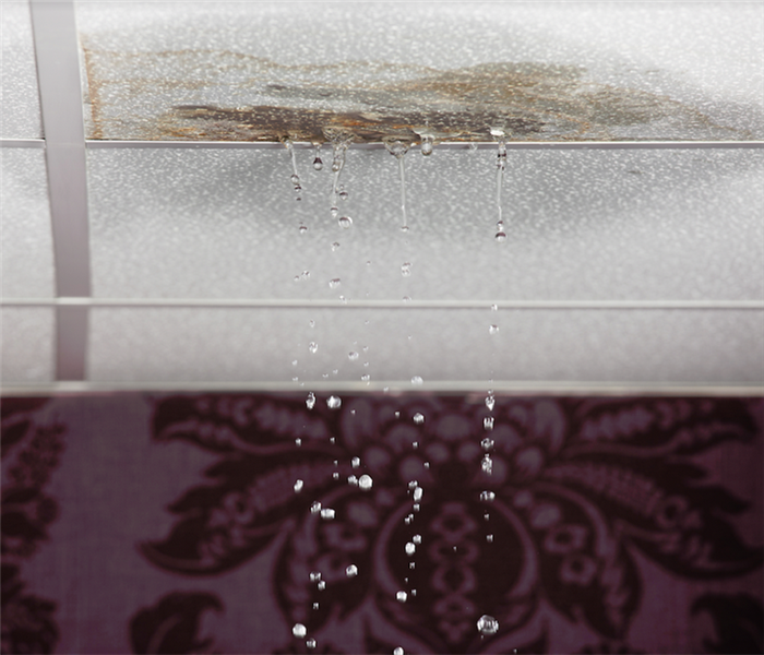 a water damaged ceiling tile with water leaking through it