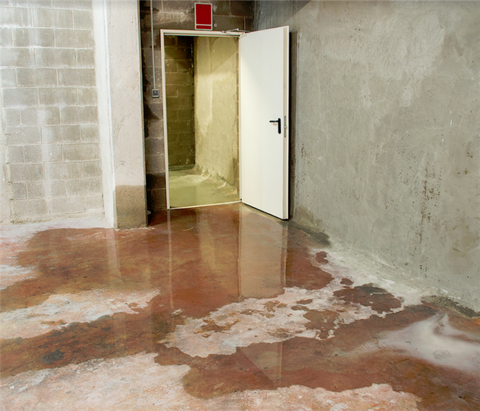 puddles of water on the basement floor from flood damage