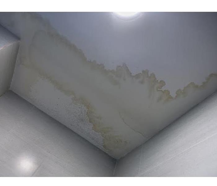 mold damage on a ceiling 